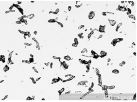Particle