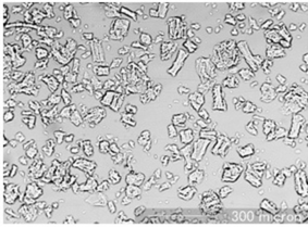 Swollen State (Purified Water)