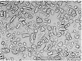 Swollen State (JP 1st Fluid (pH 1.2))