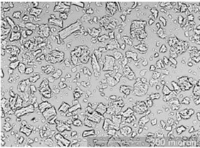 Swollen State (JP 2nd Fluid (pH 6.8))