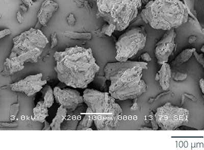 Ceolus™ PH-102 Scanning Electron Microscope image