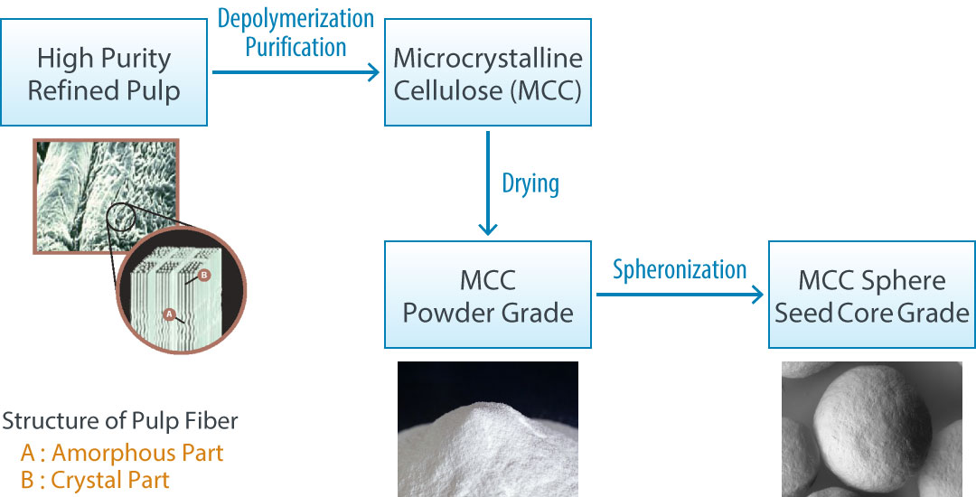 Microcrystalline Cellulose production flow: from pulp to make Powder and Sphere Seed grades.