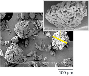 Ceolus™ UF-702 Scanning Electron Microscope image