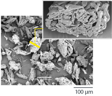 Ceolus™ UF-711 Scanning Electron Microscope image