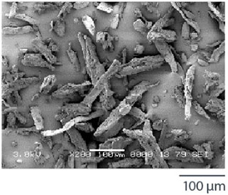 Ceolus™ KG-802 Scanning Electron Microscope image