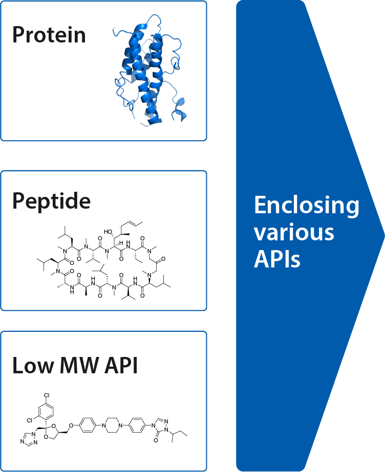 Protein/Peptide/Low MW API:Enclosing various APIs