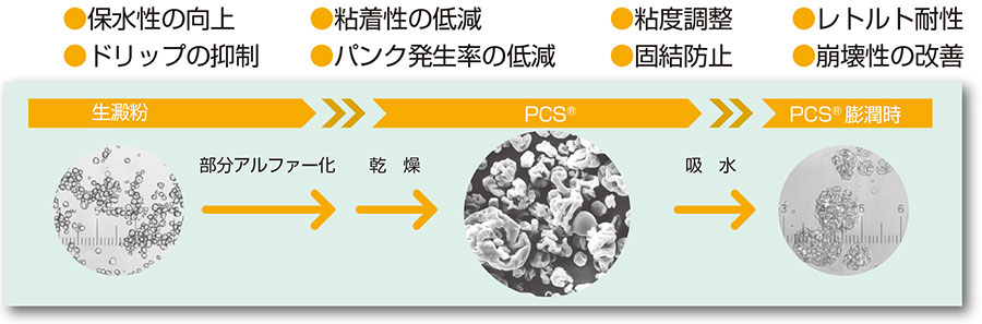 Pcs 概要 Ceolus Com